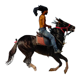 Cheval